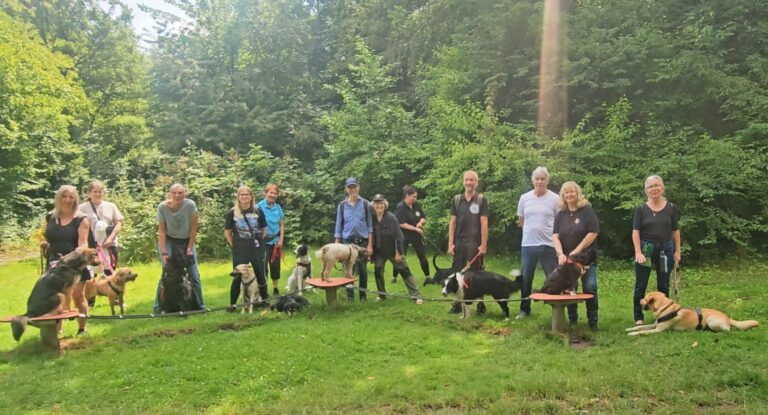 Social walk im Wald in Witten mit den Hunden