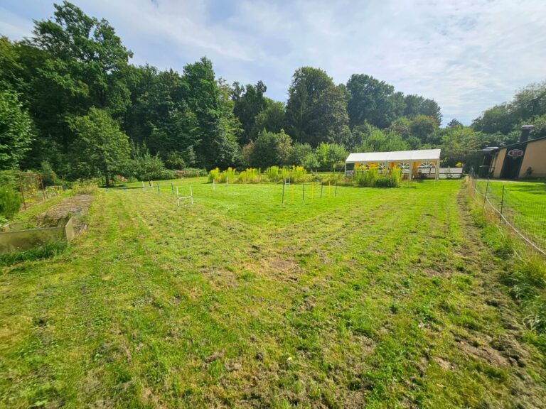Unser Trainingsgelände im Wald in Witten und Bochum