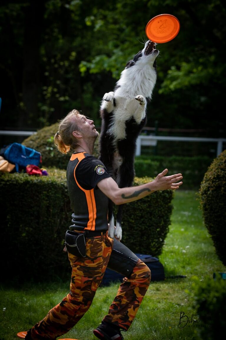 Marco thedogfathers mit Hund Flash beim Training Witten