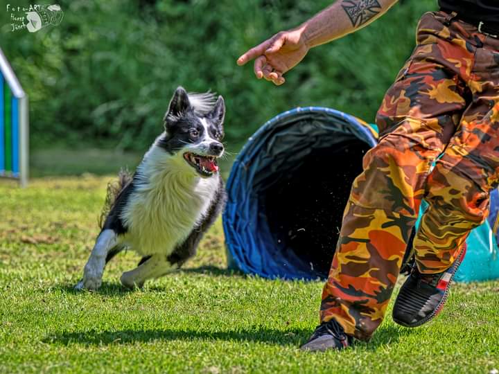 Flash bei FunAgility in Witten, Bochum und Dortmund