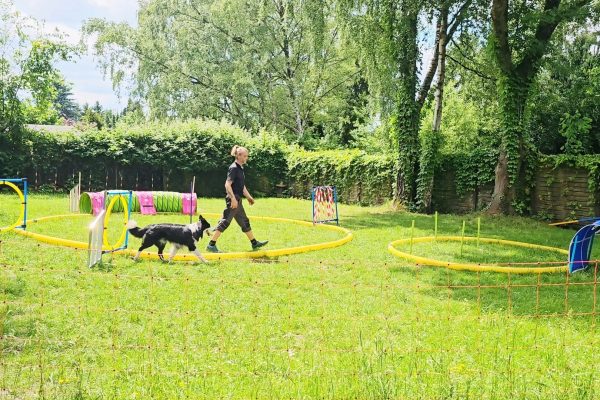 Marco beim longieren in WItten, Bochum und Dortmund
