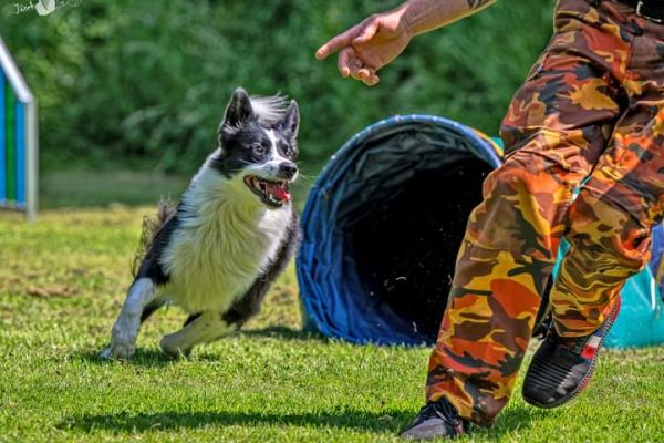 Flash bei FunAgility in Witten, Bochum und Dortmund