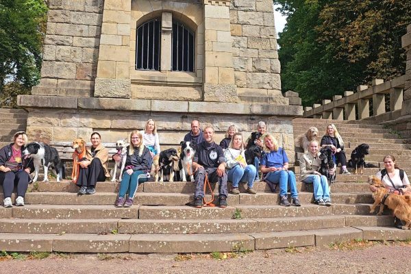 Social walk am Hohenstein in Witten mit den Hunden