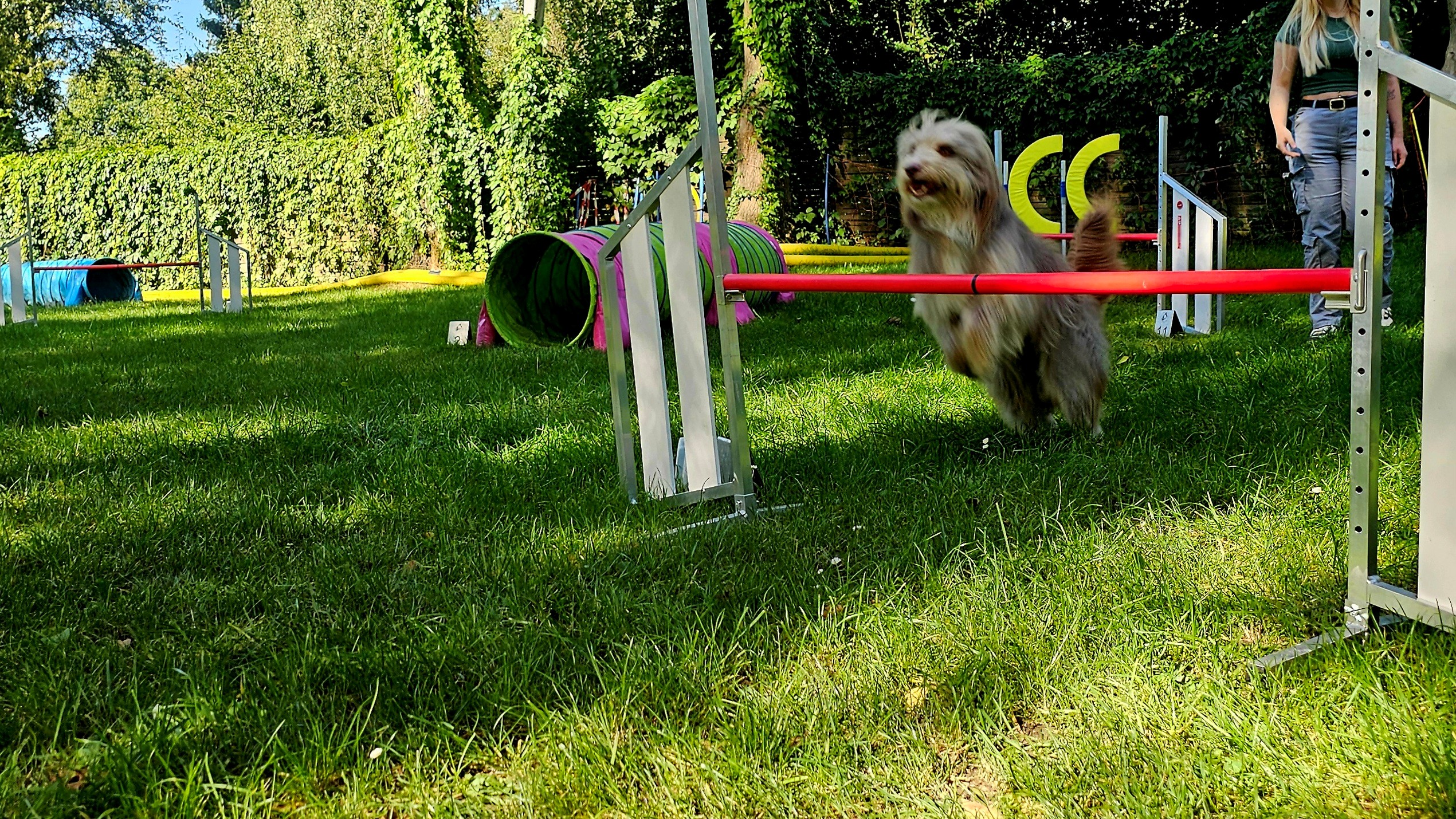 Funagility in Bochum