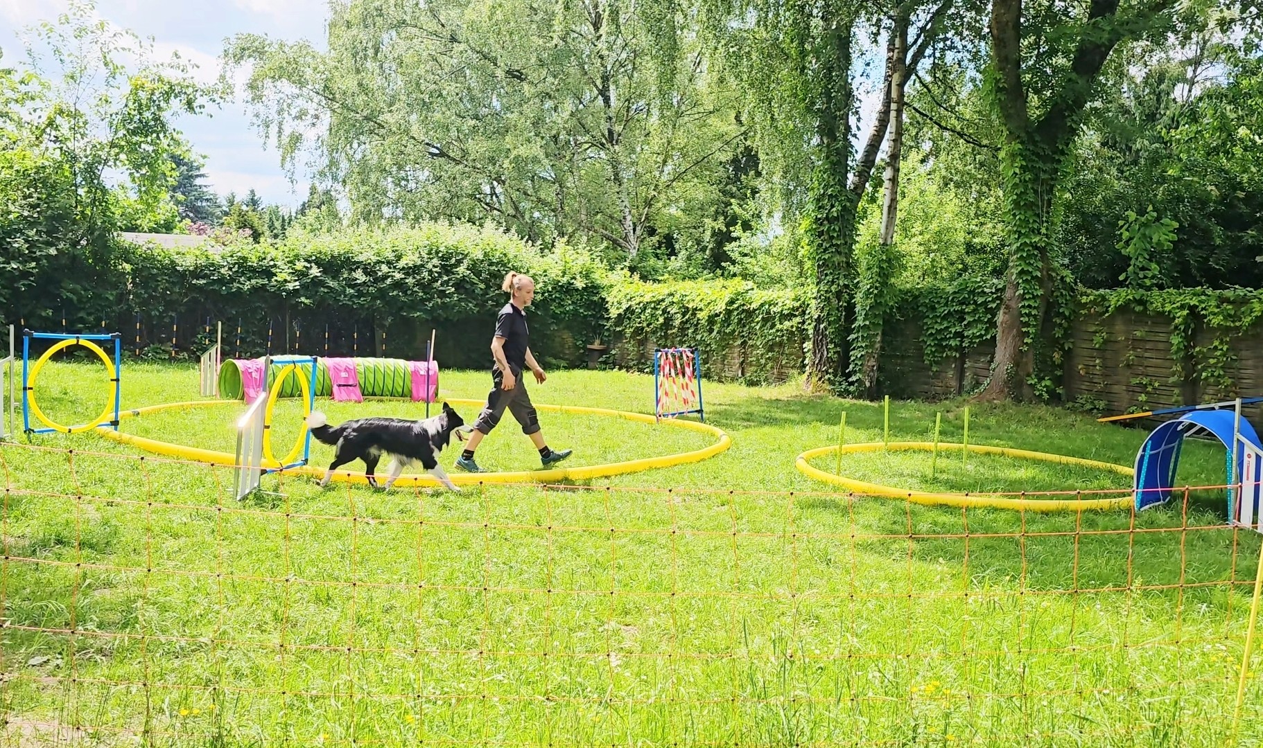 Marco beim longieren in WItten, Bochum und Dortmund