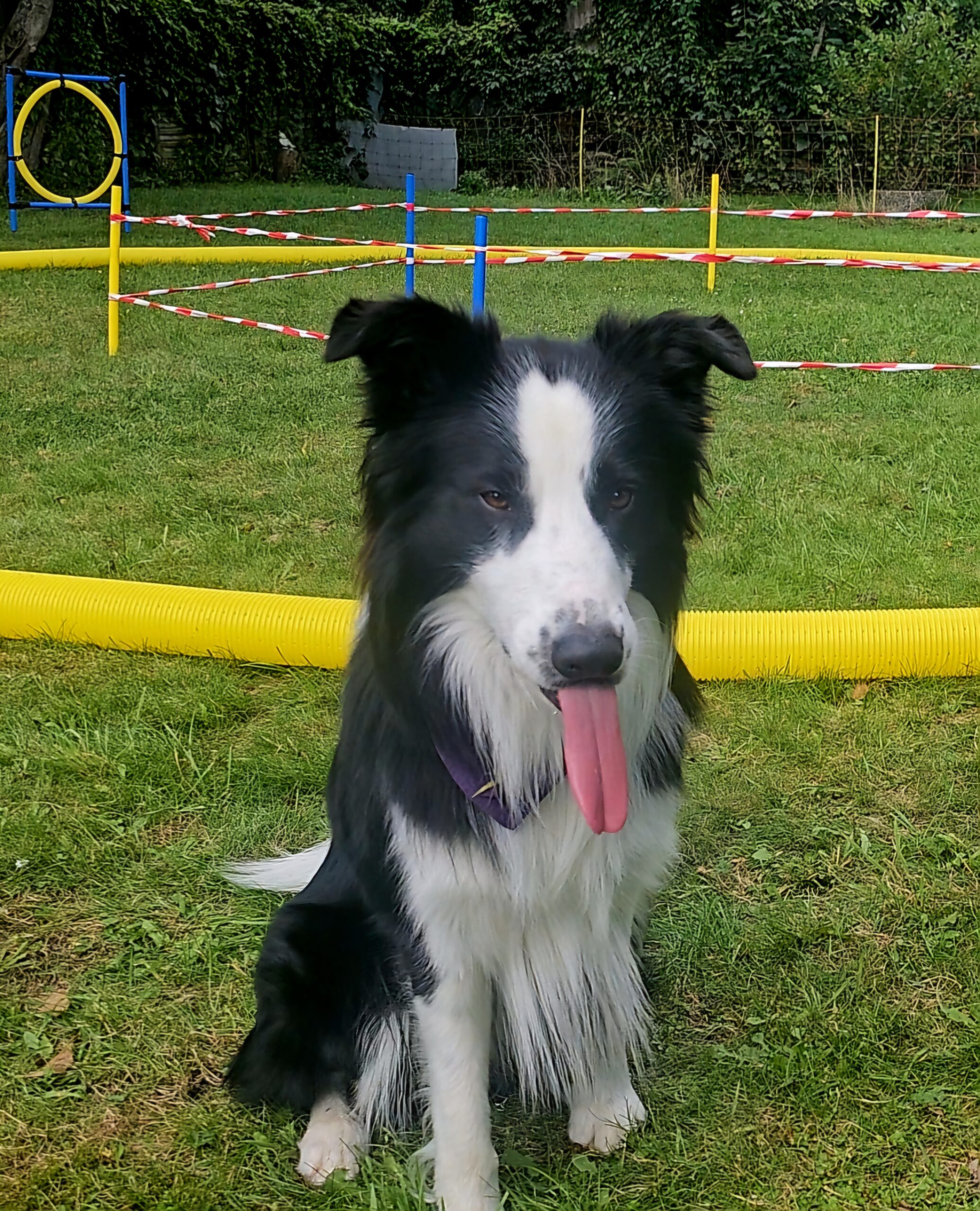 Screenshot_20240825_154235_Gallery (1) Screenshot_20240825_154235_Gallery (1)