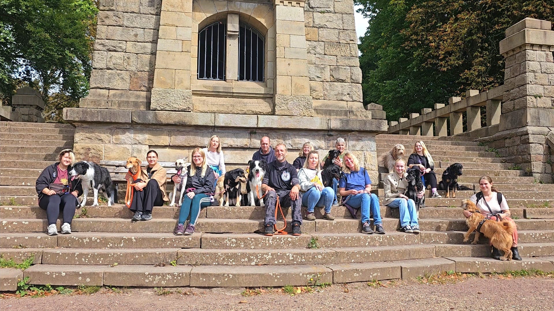 Social walk am Hohenstein in Witten mit den Hunden Social walk am Hohenstein in Witten mit den Hunden